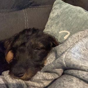 Meet your Posher, Anthony